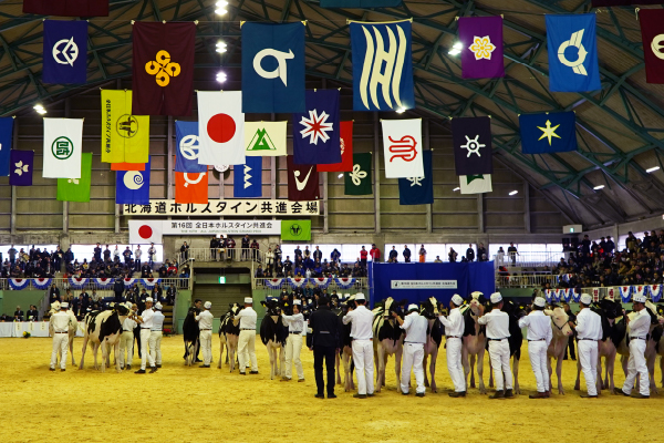 全日本ホルスタイン共進会 北海道大会