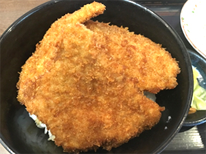 新潟タレかつ丼