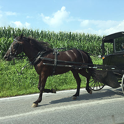 馬車